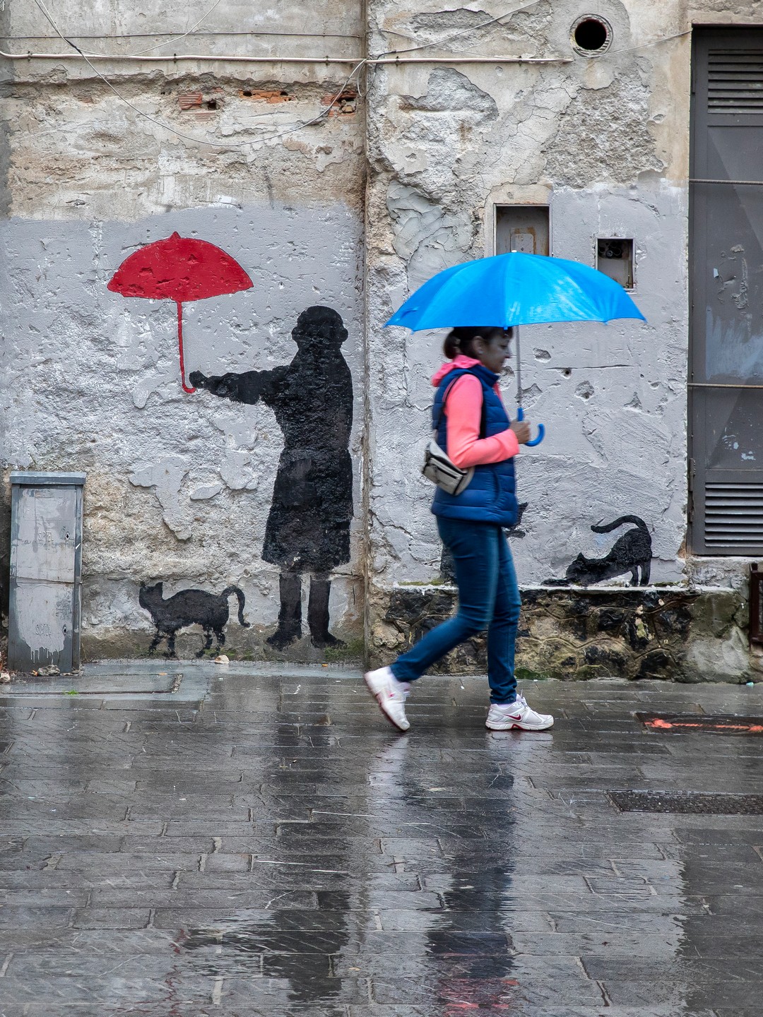 Piove, la gatta non si muove !