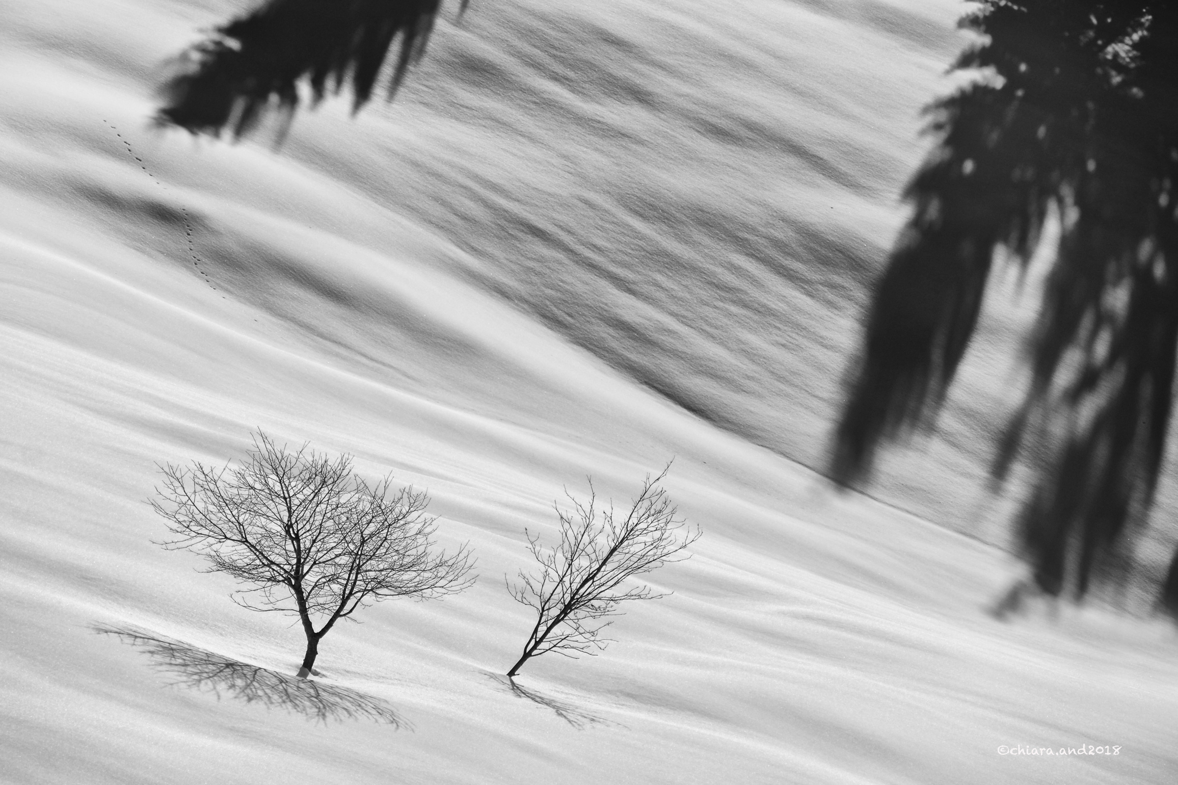 "Le discese Ardite e le risalite." ......