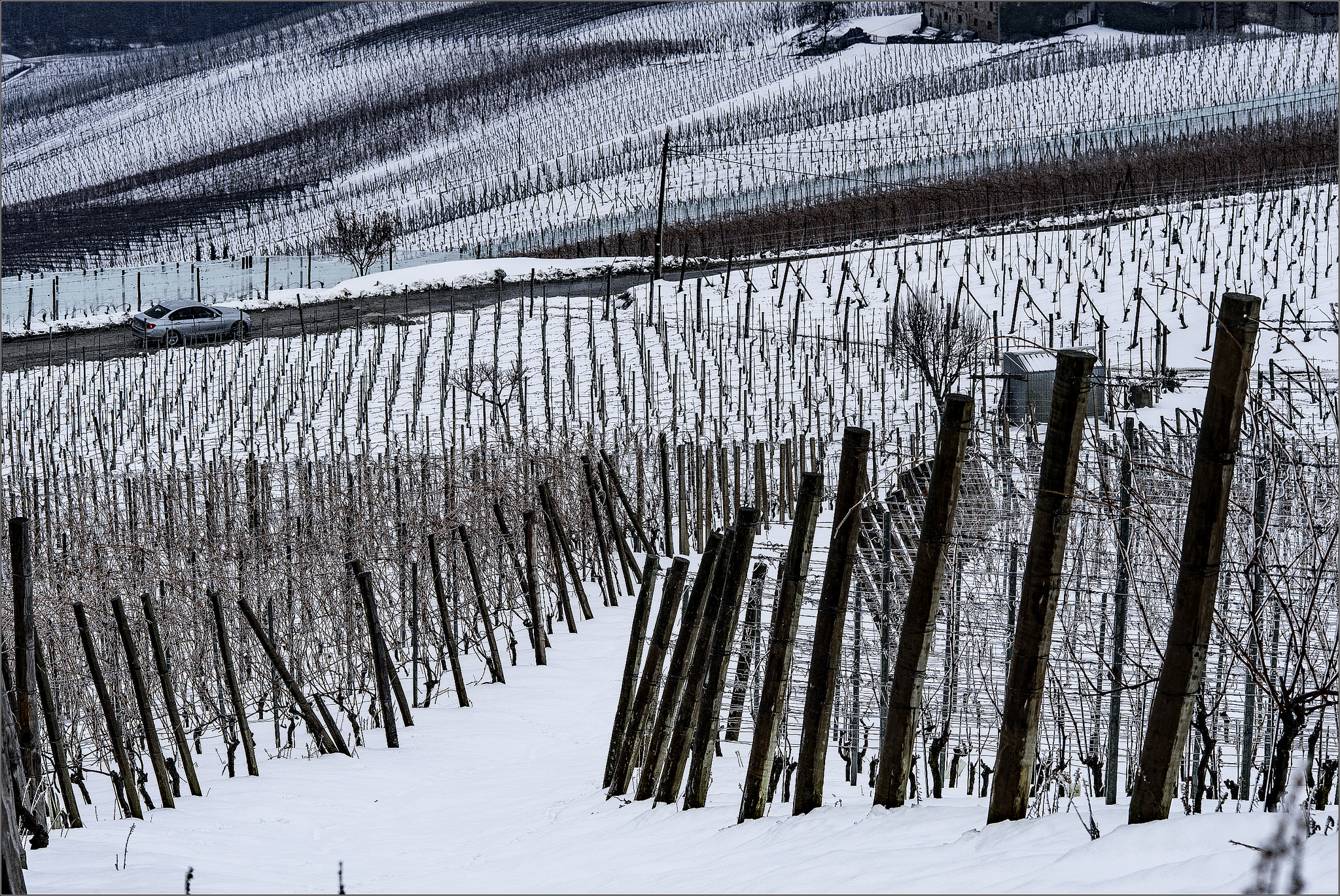 Langa sotto la nevicata