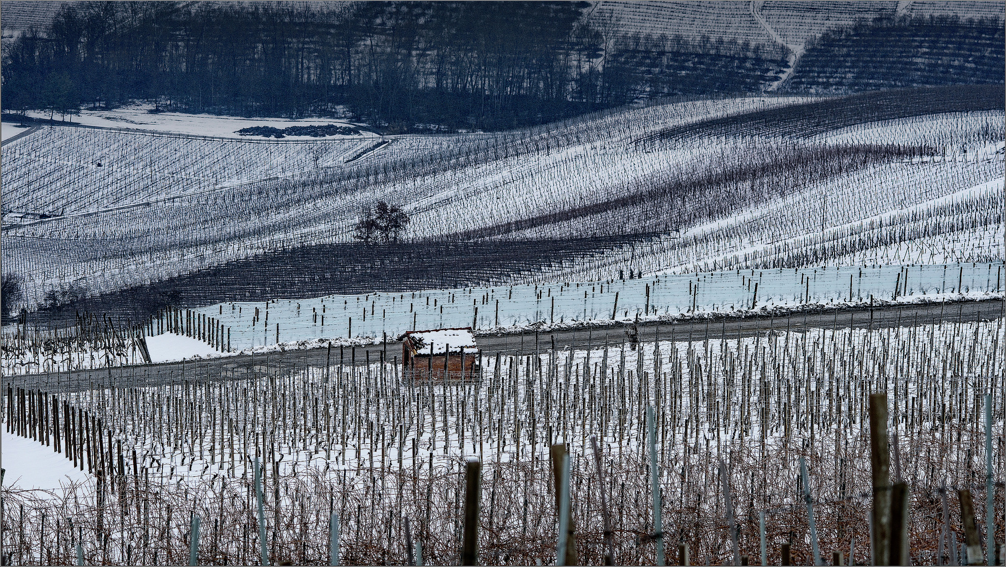 Langa sotto la nevicata 2