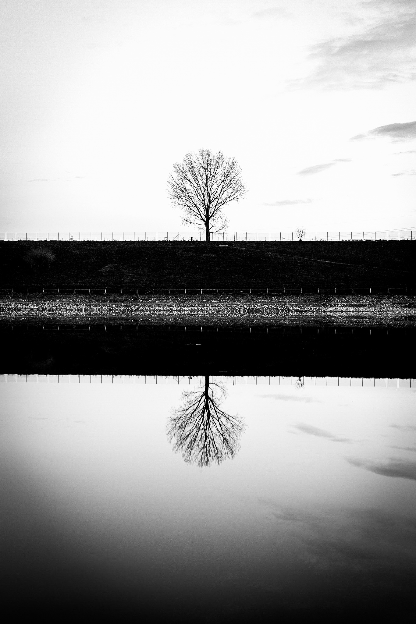 Winter reflections in b / w