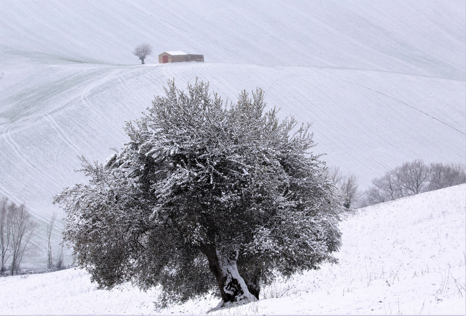 Solo neve e silenzio