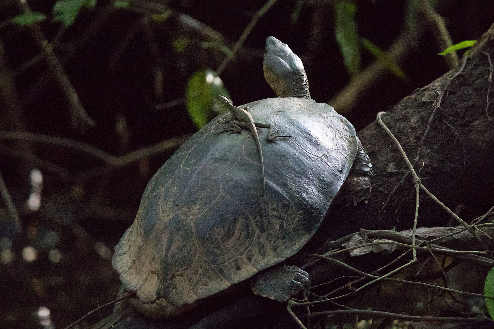 Passage from a stranger