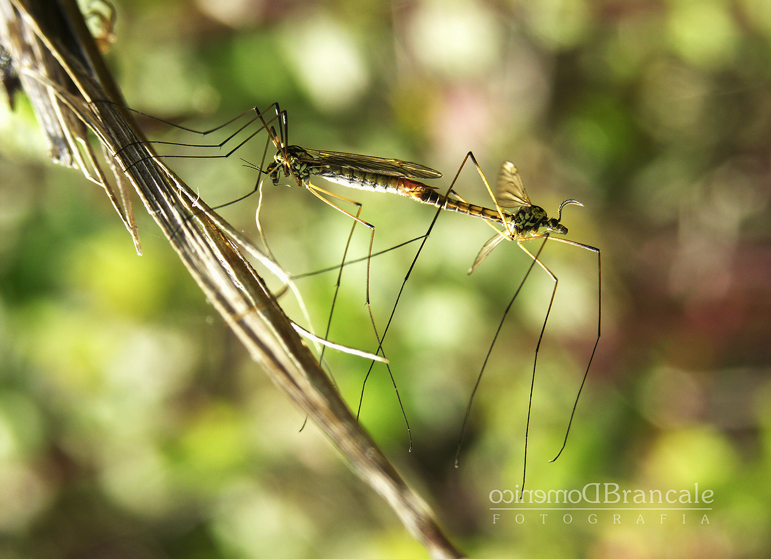 small moments of intimacy