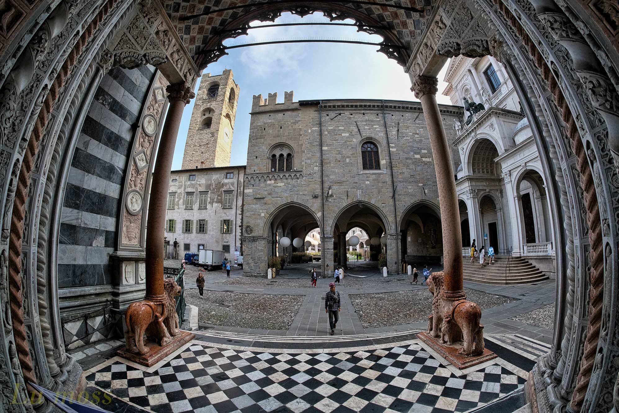 On the side of the lions.