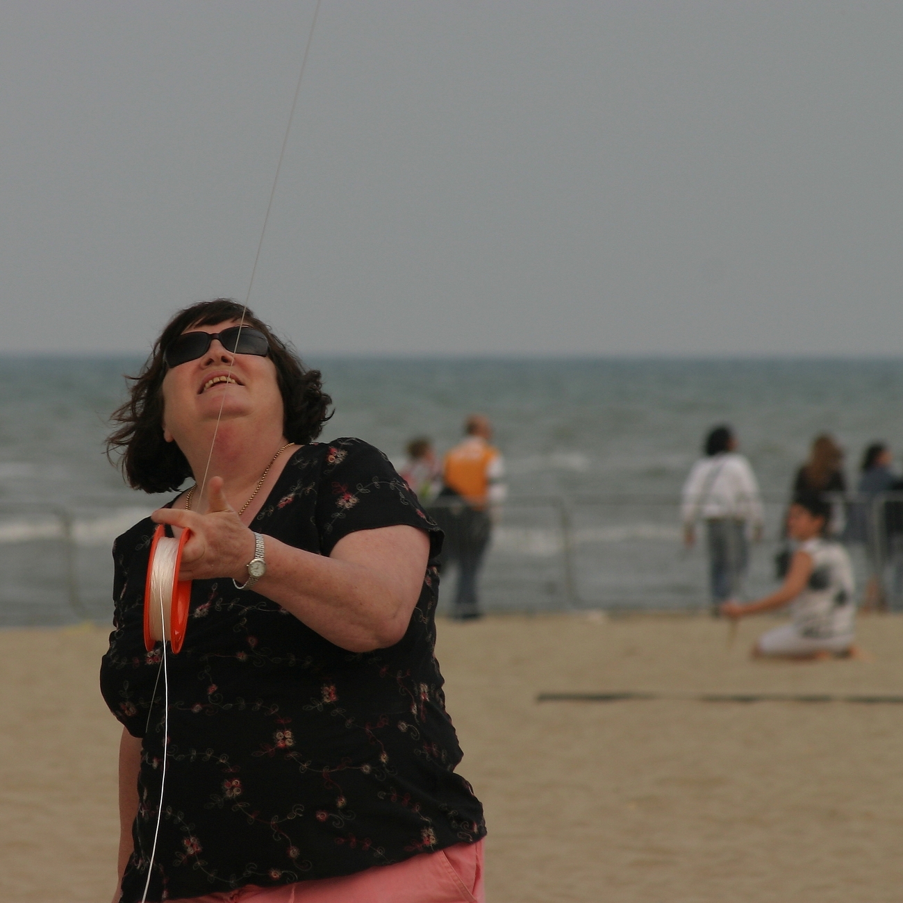 Giorgina e l'aquilone