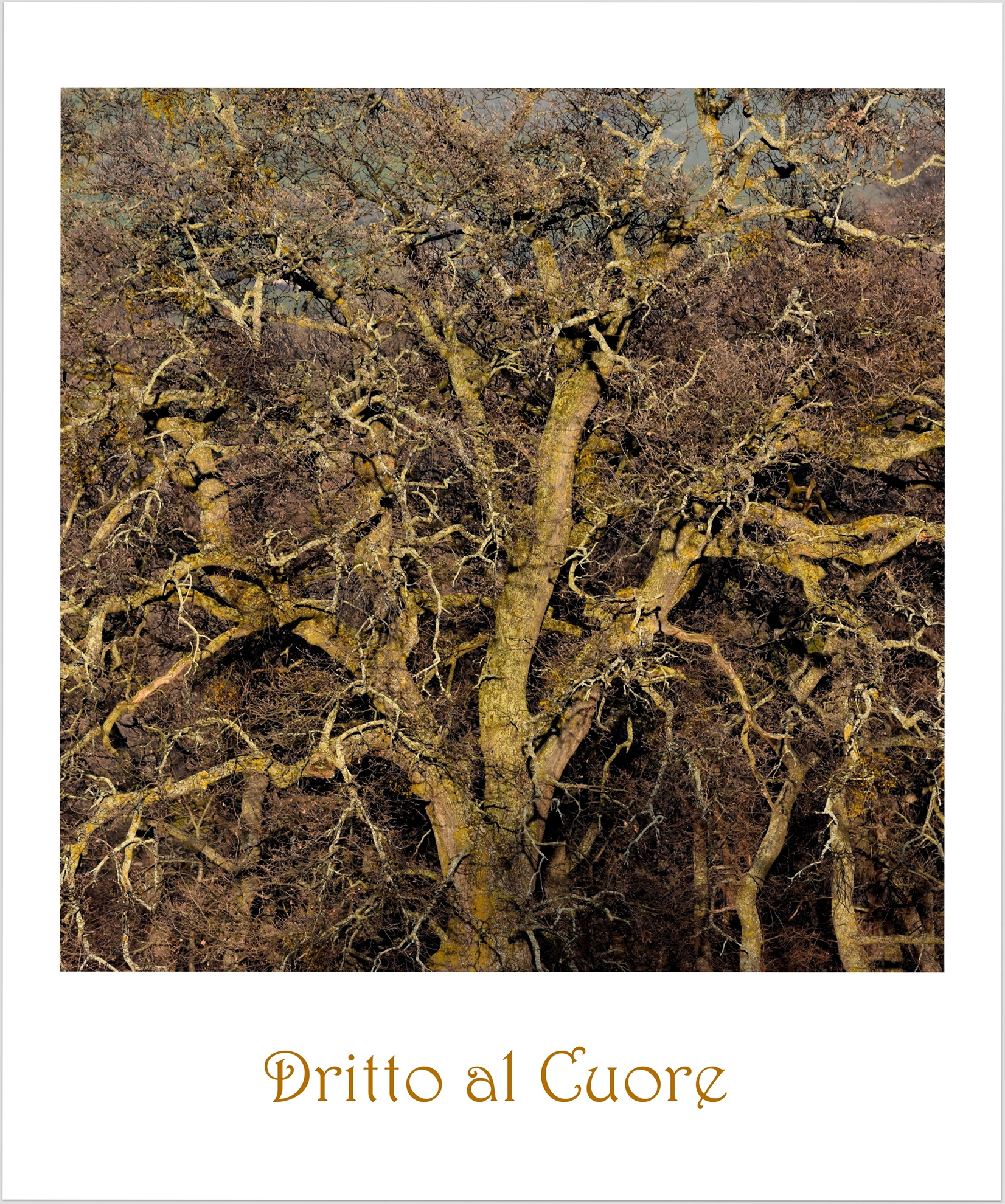 Straight to the heart