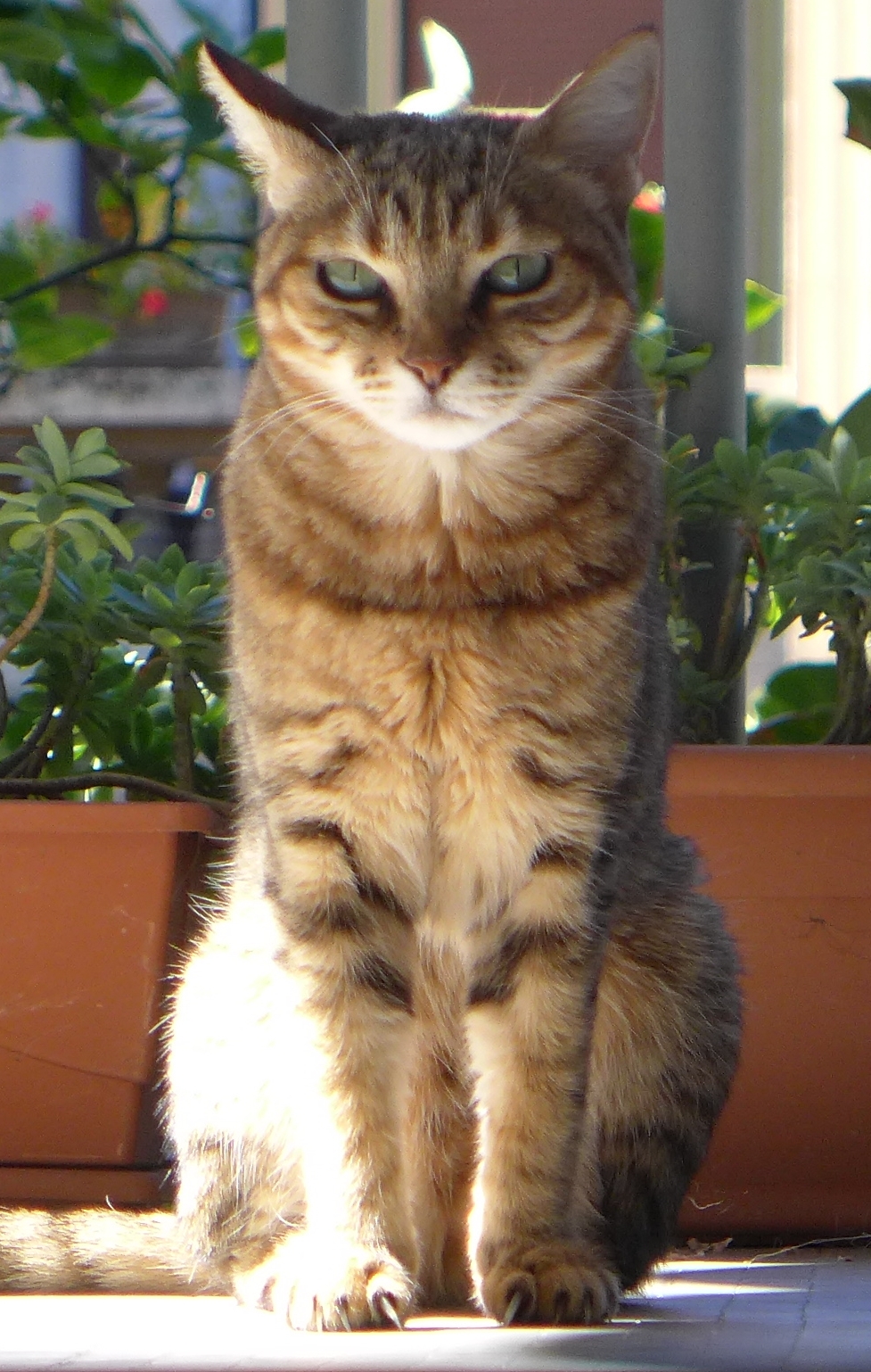 At peace with the world