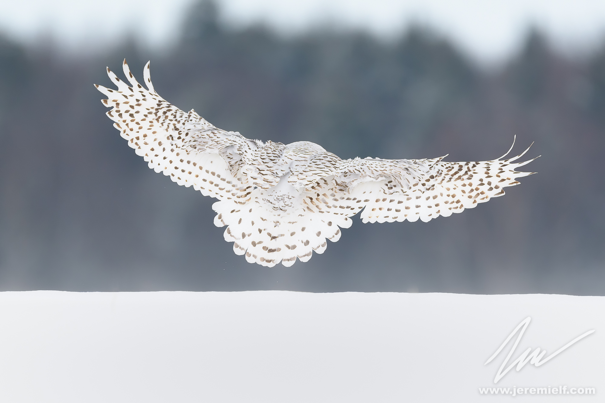 Landing