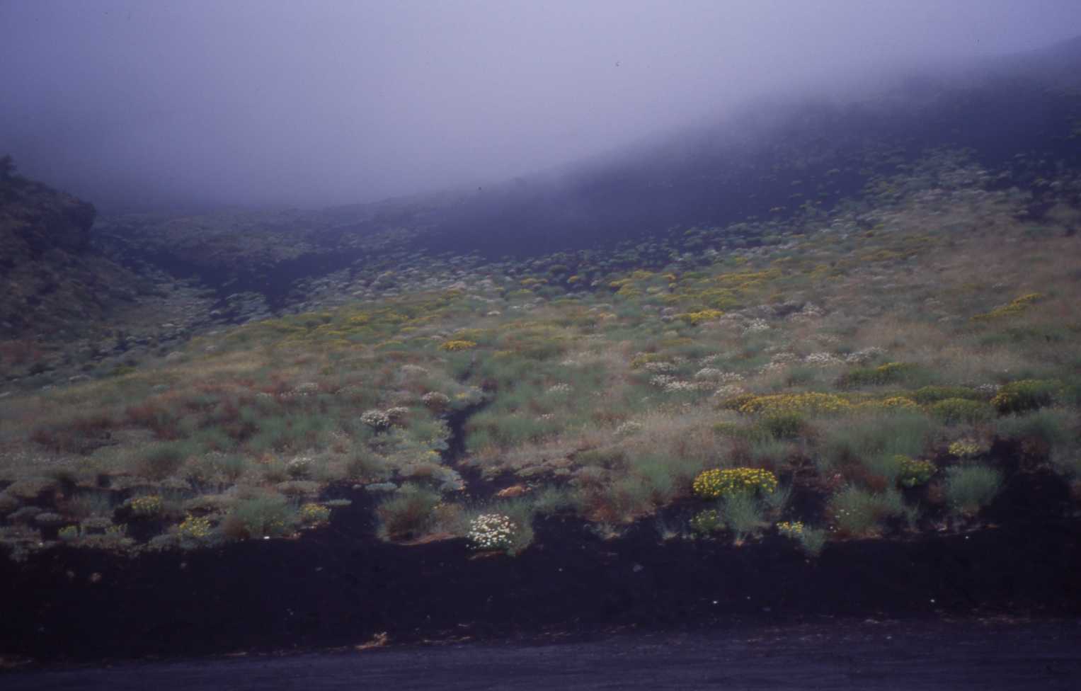 Alle falde dell'Etna