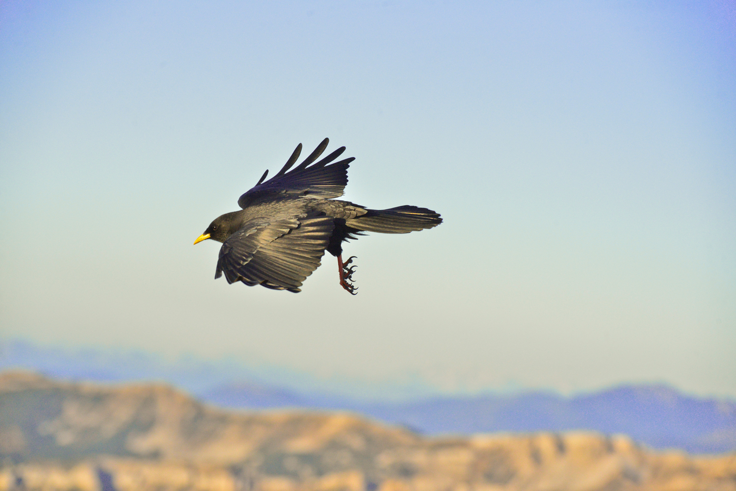 in volo sopra le meraviglie