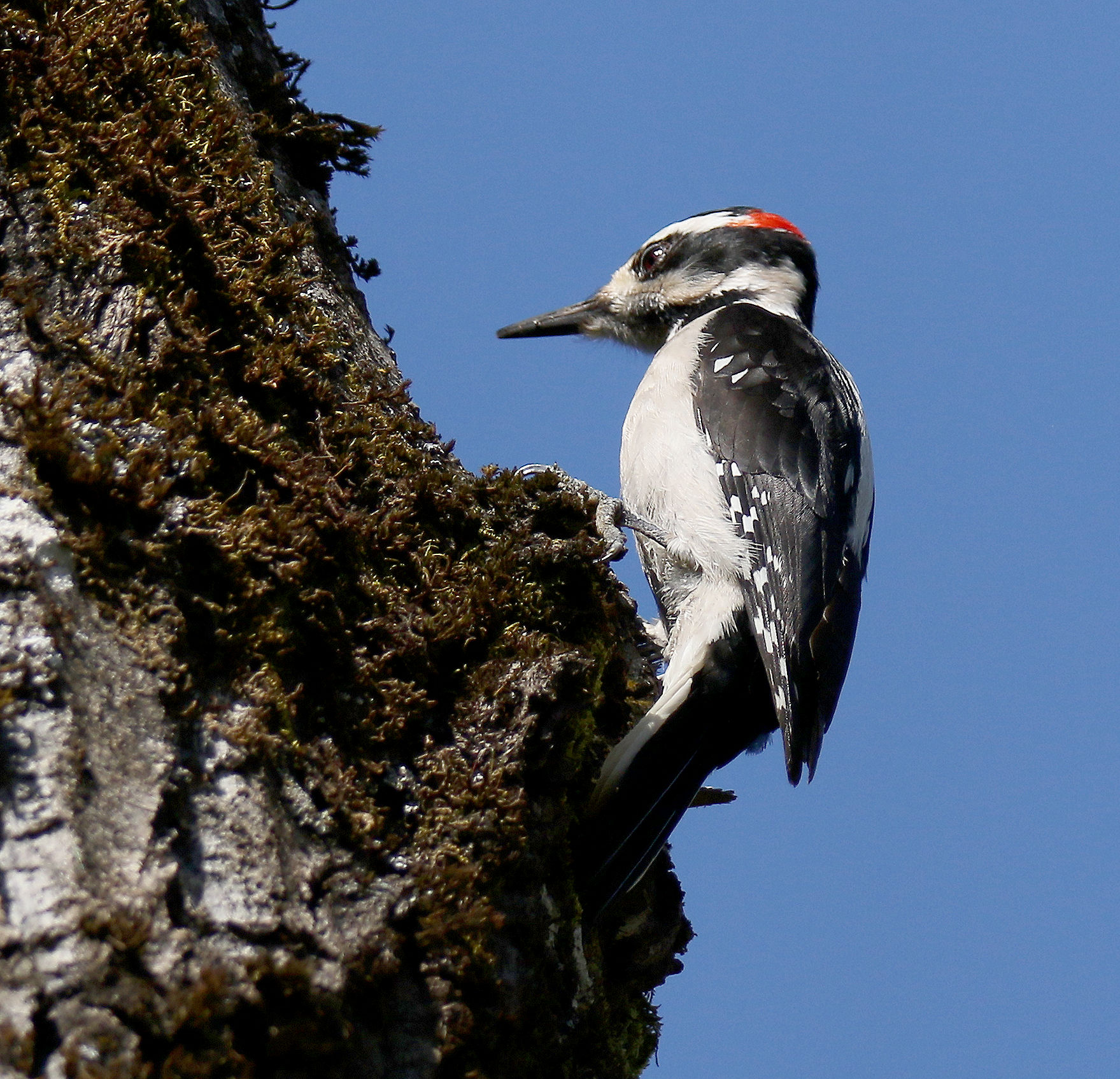 Lavorando per questo