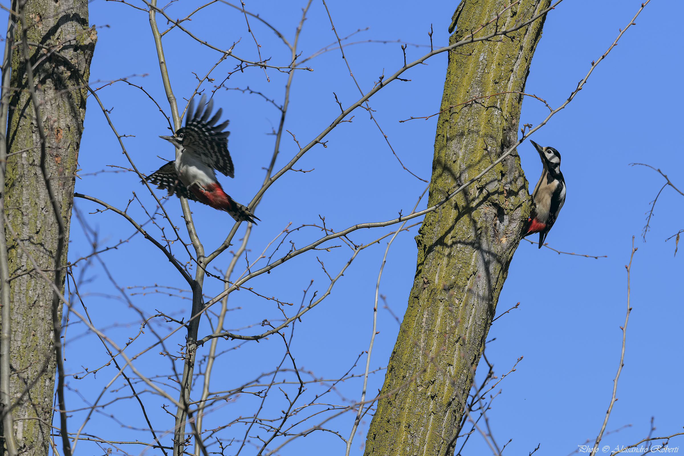 Dove scappi...L'amore non è bello se non è...