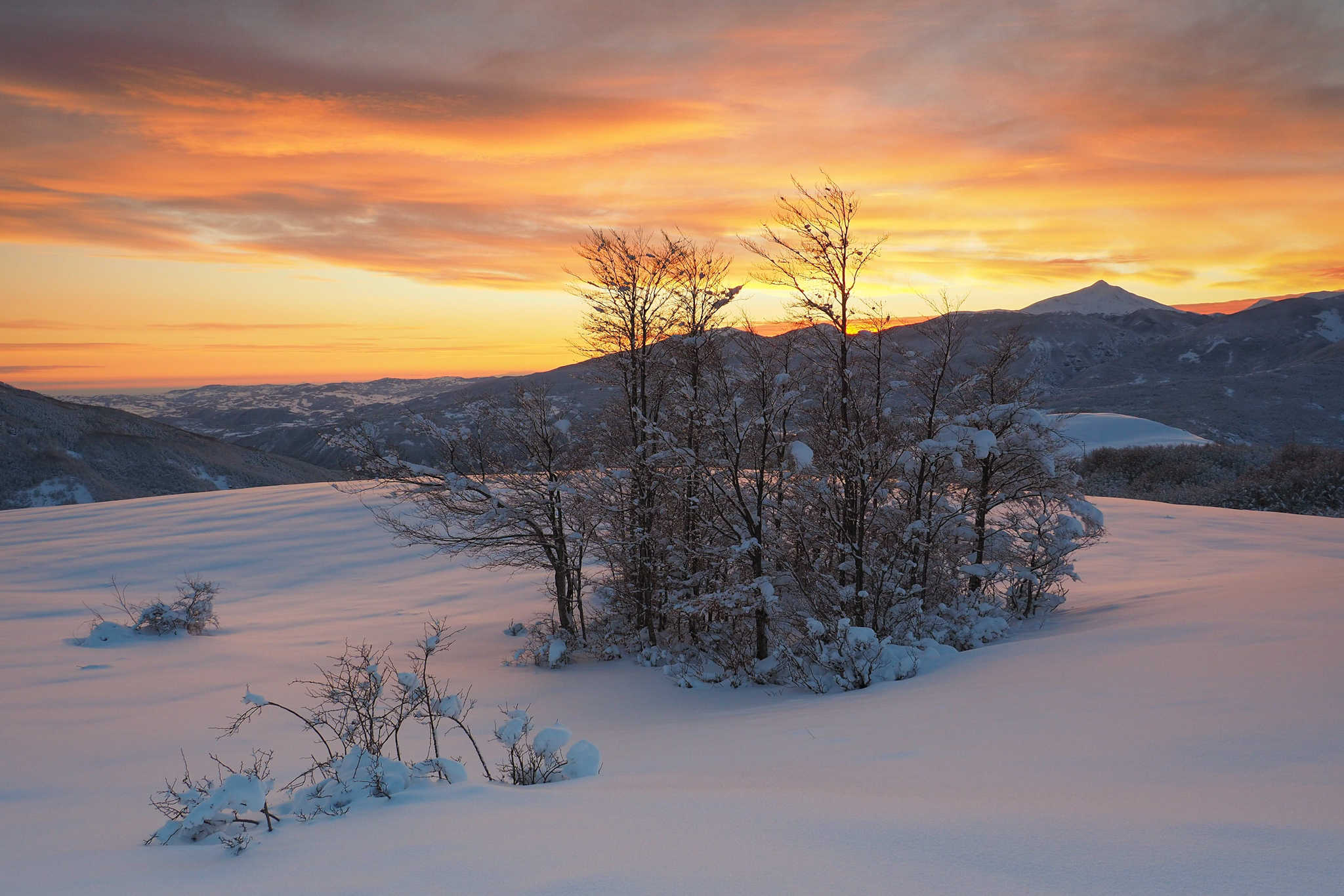 La primavera può attendere