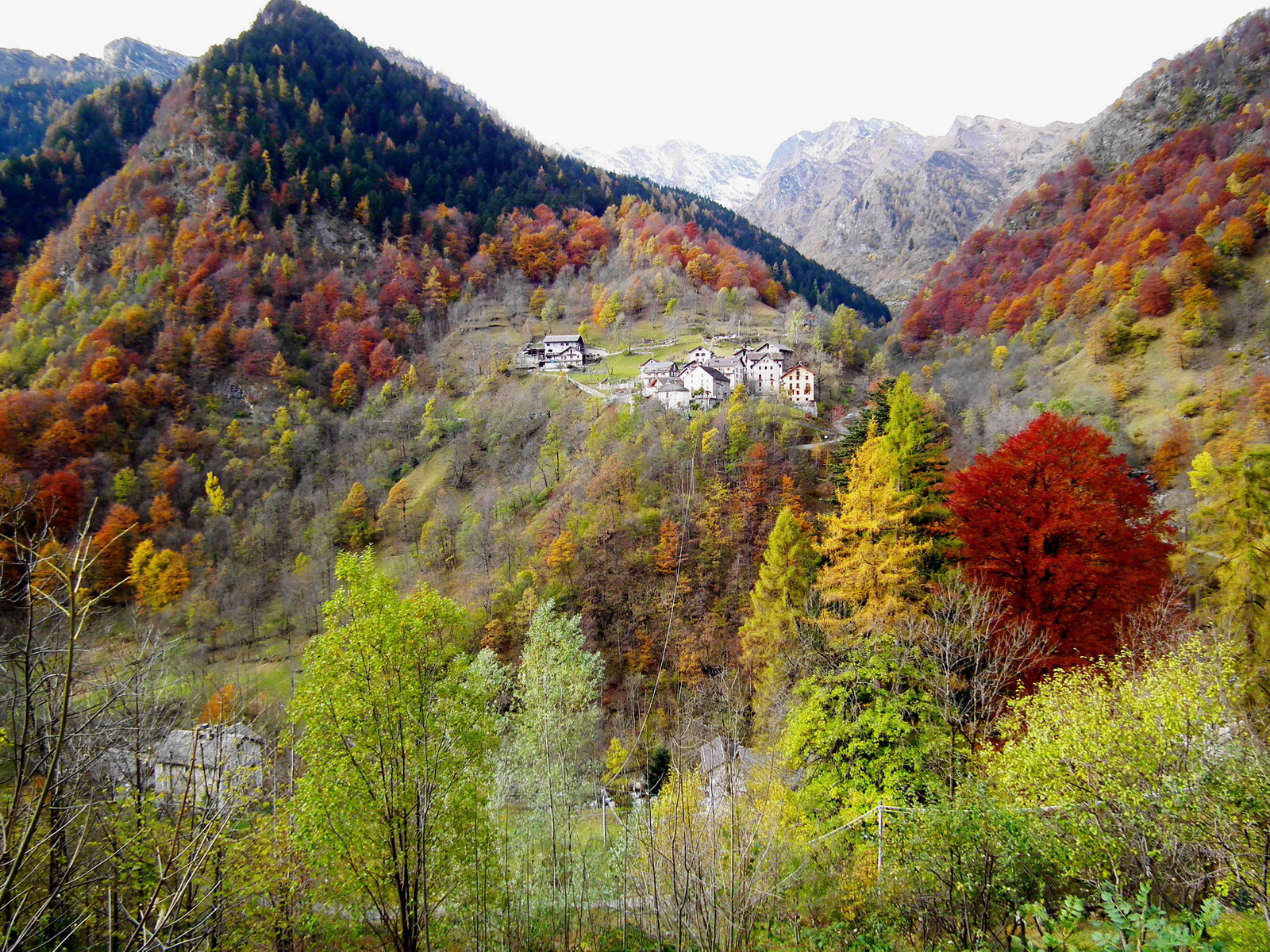 2 Caldi colori autunnali - Val Mastallone