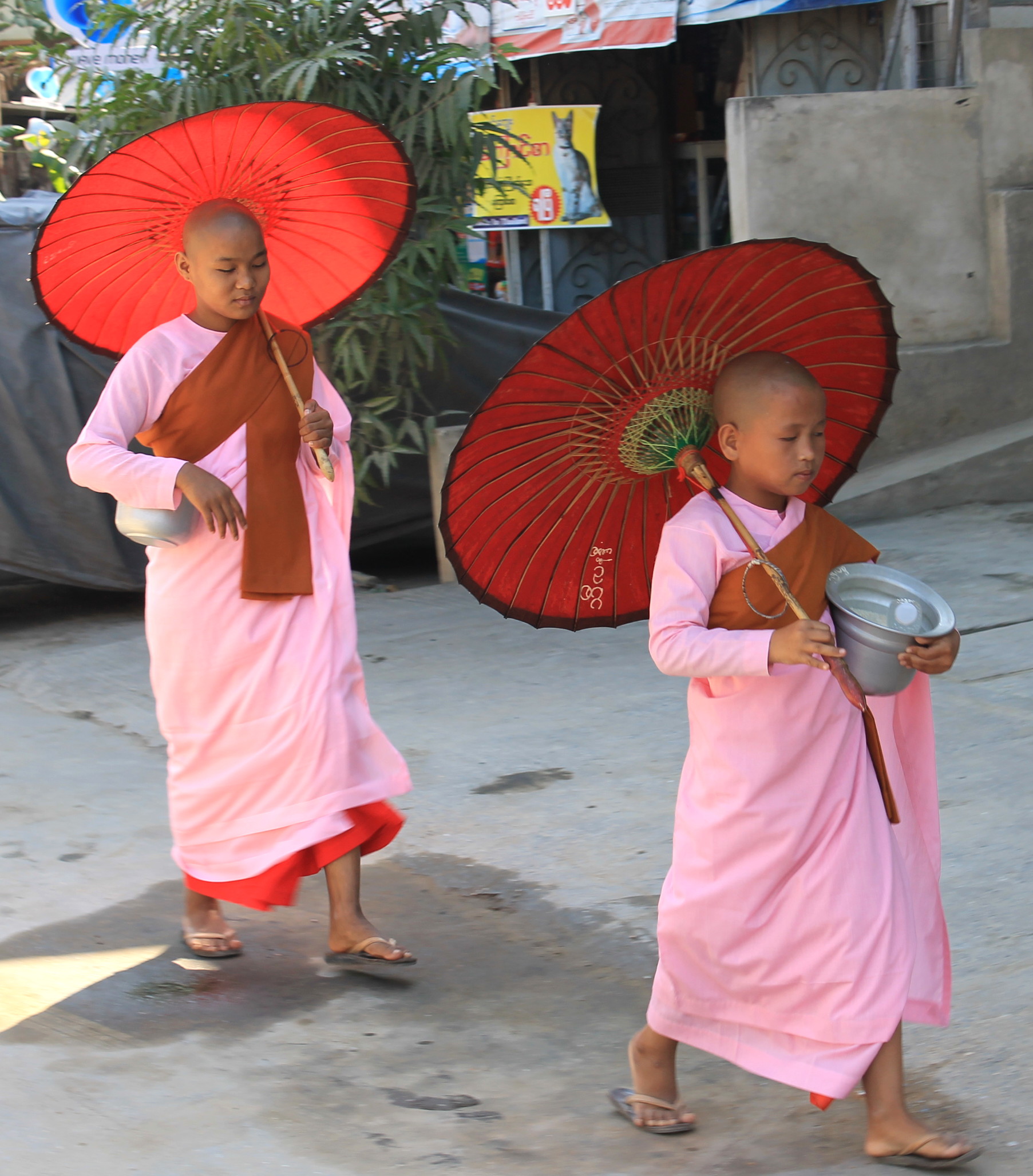 Alla ricerca di cibo