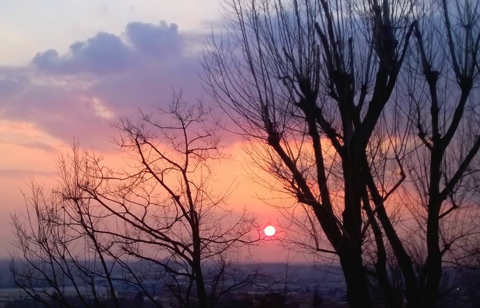 I colori del tramonto dietro alberi spogli