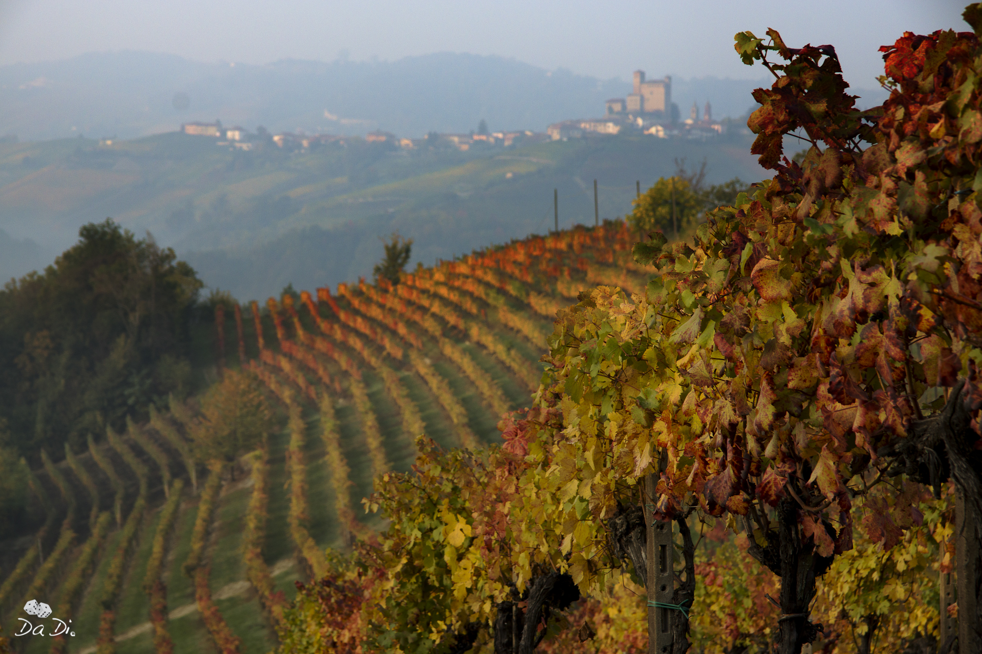 vineyards and castles