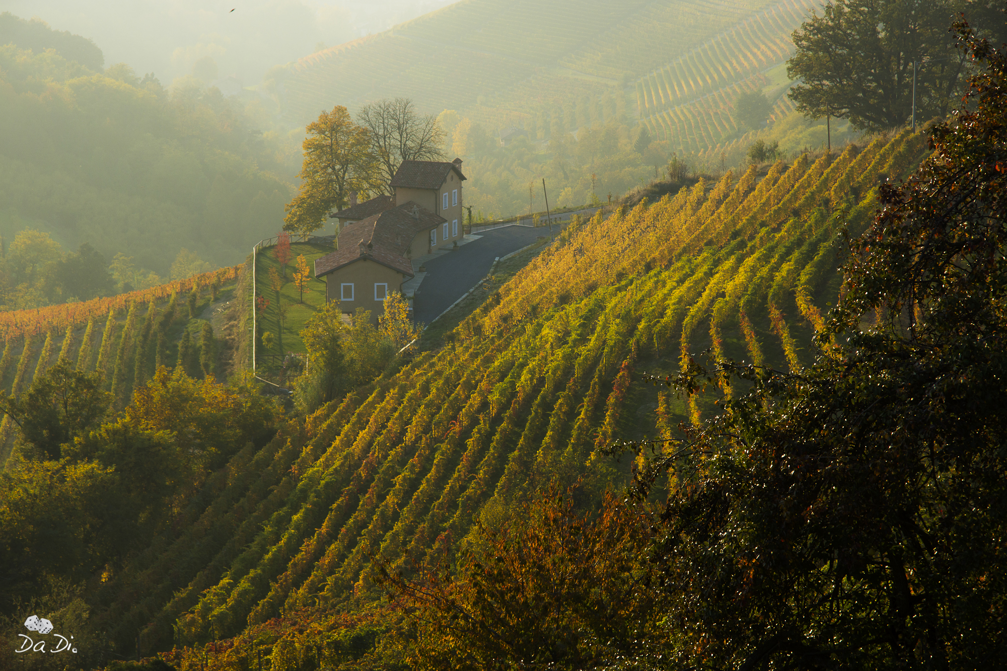 Magic Langhe 5