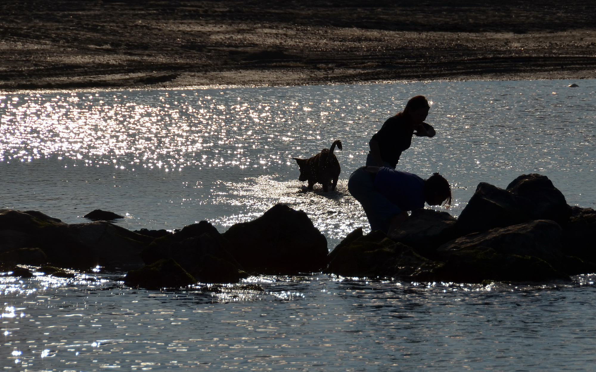 Those looking (maybe) find