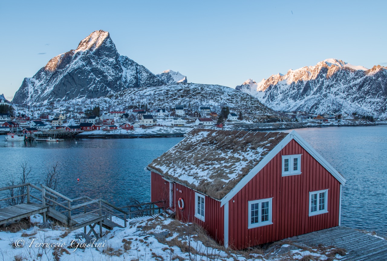 Reine