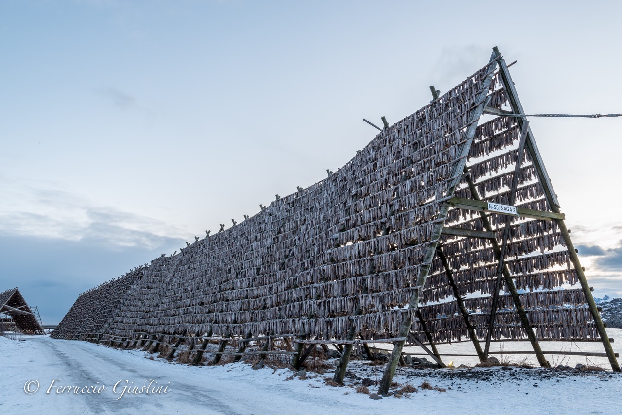 Rack with stockfish