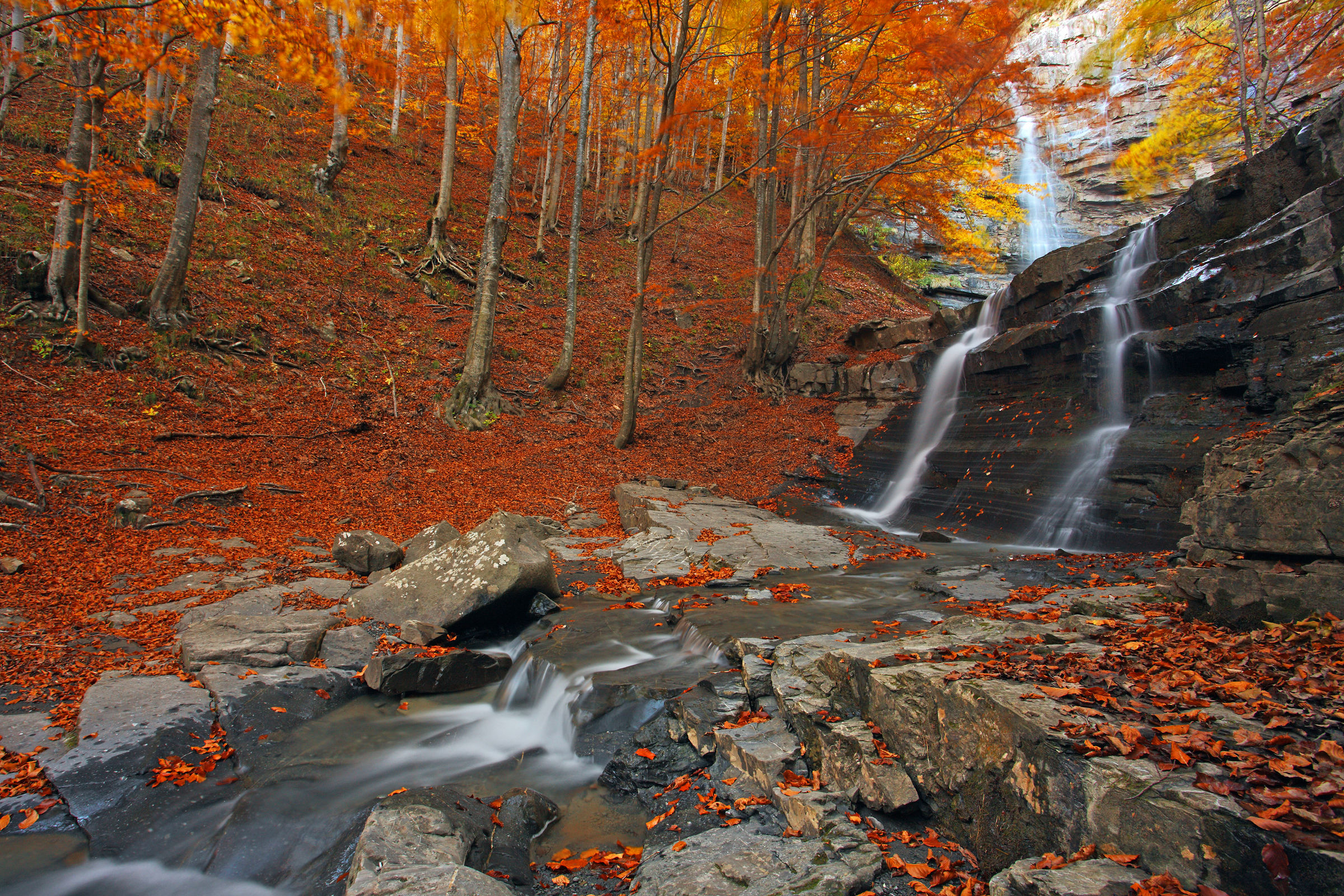 Niagara Lavacchiello