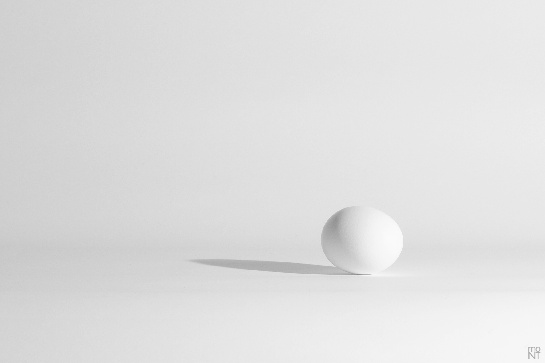 An egg and its shadow #2452