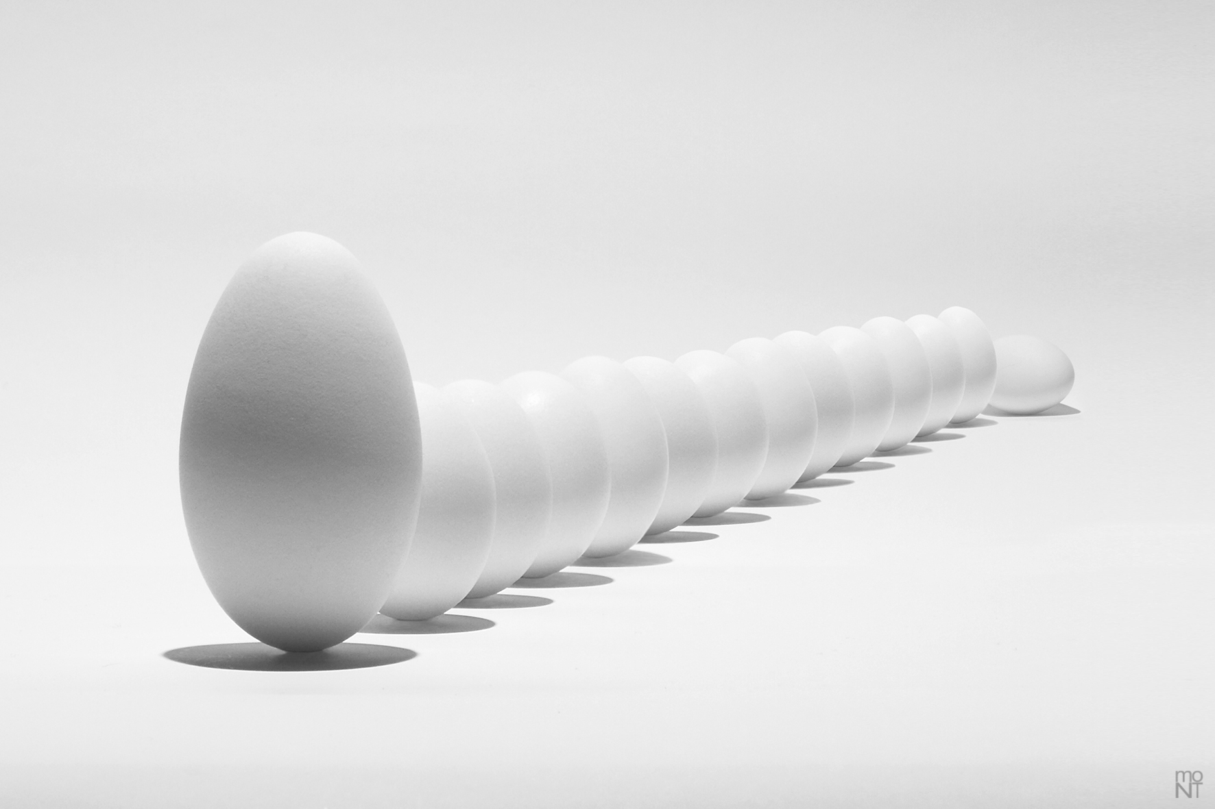 Uova in rassegna #2431