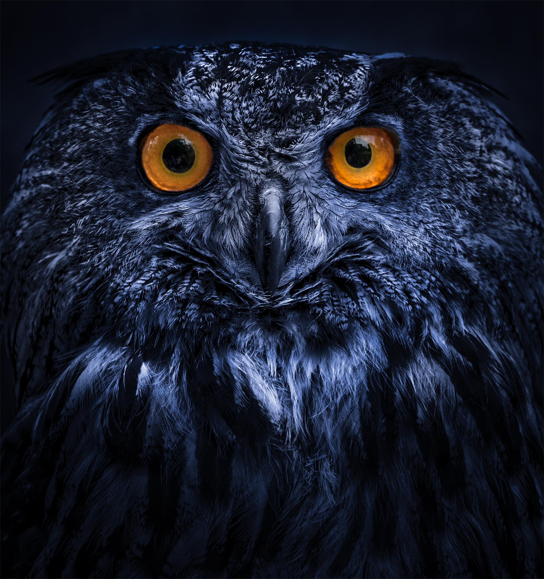 Face to face in the night