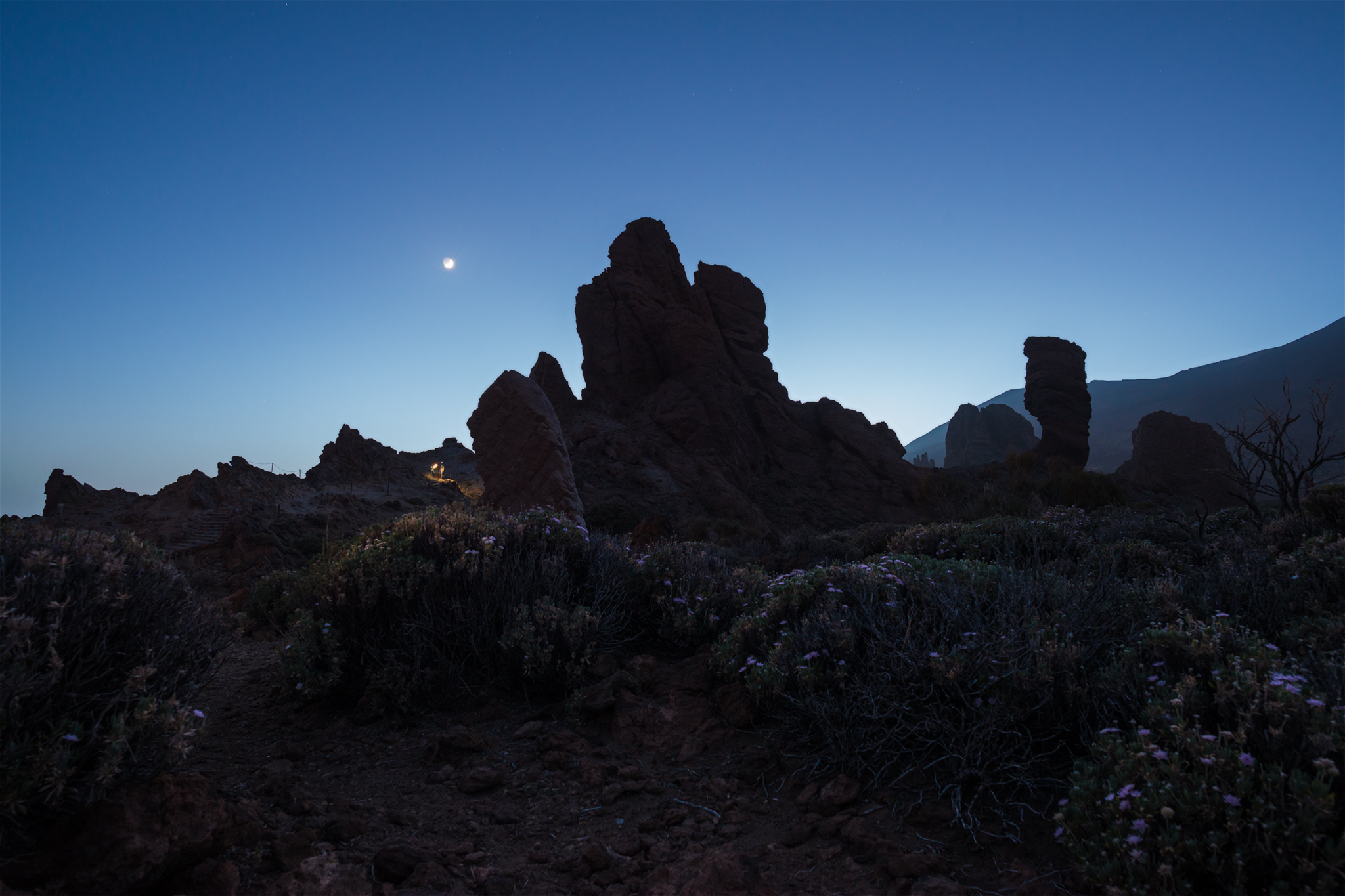 The Moonlight - Tenerife