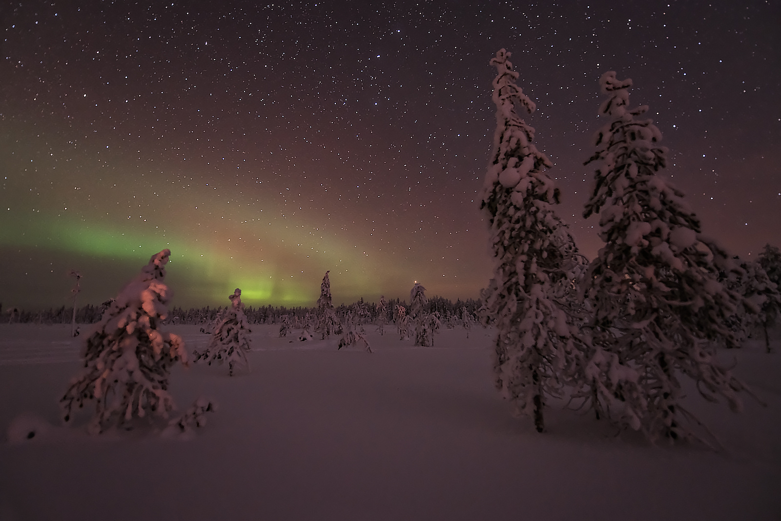 Flebile luce del nord