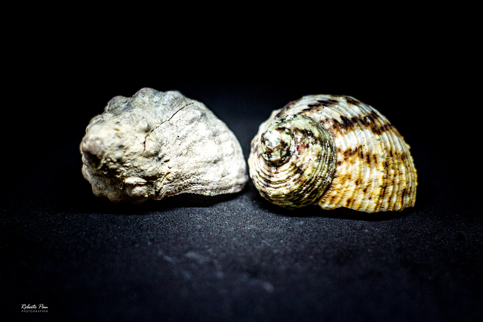 The sound of the sea