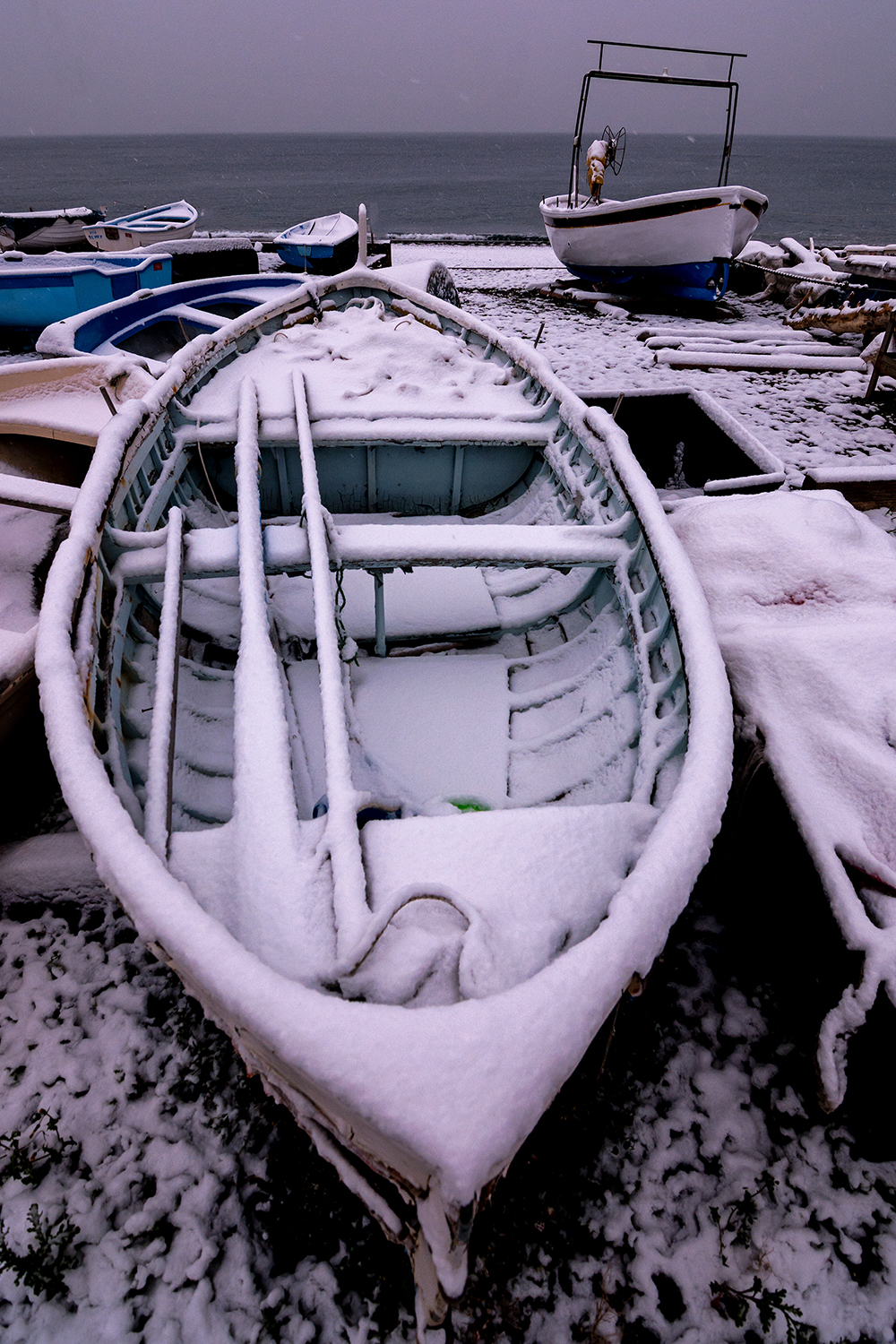 Un insolita accoppiata