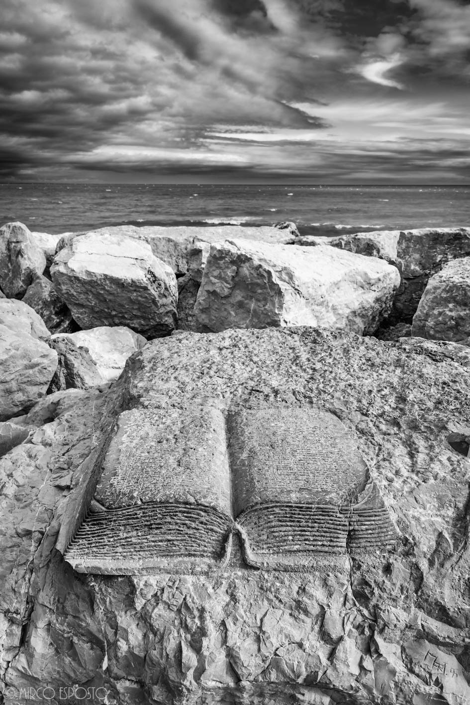 The words I did not tell you