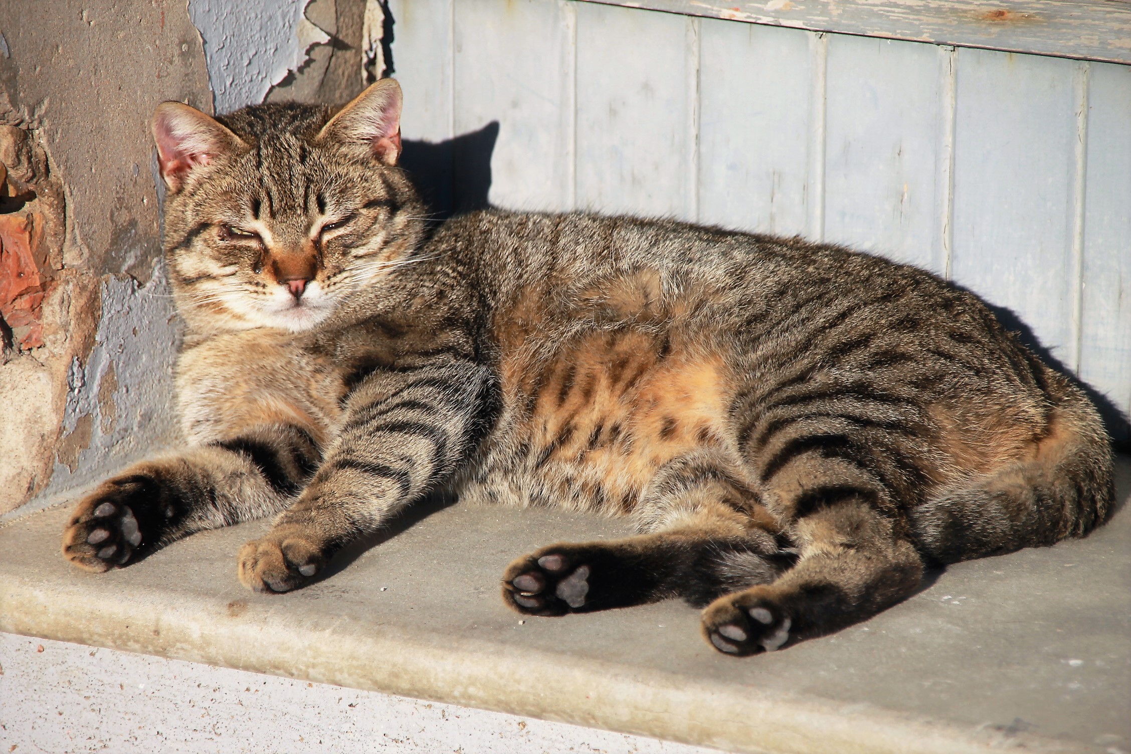 Enjoy the first sun of the year