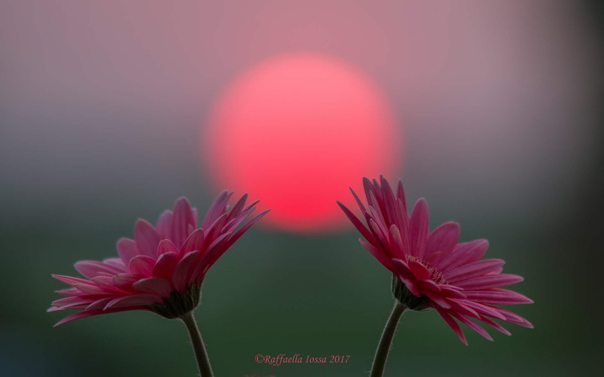 Tramonto alternativo