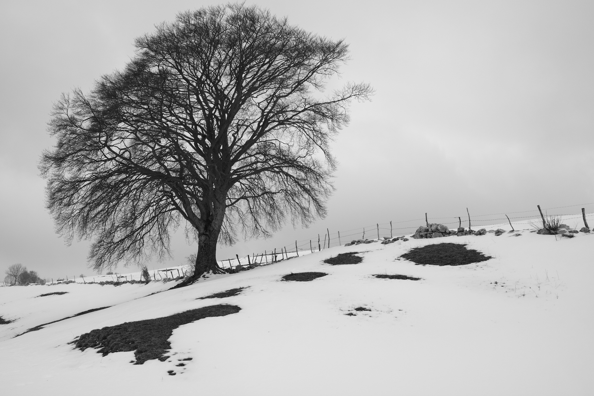 Aspettando la primavera
