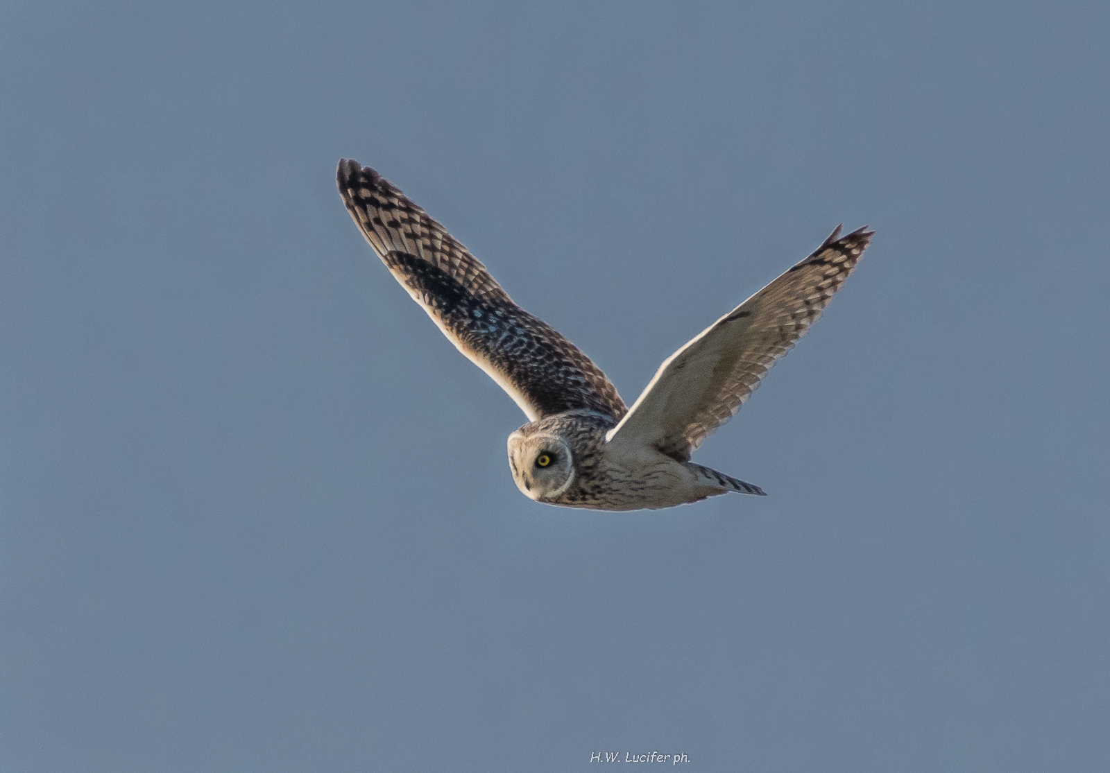 The night of the afternoon