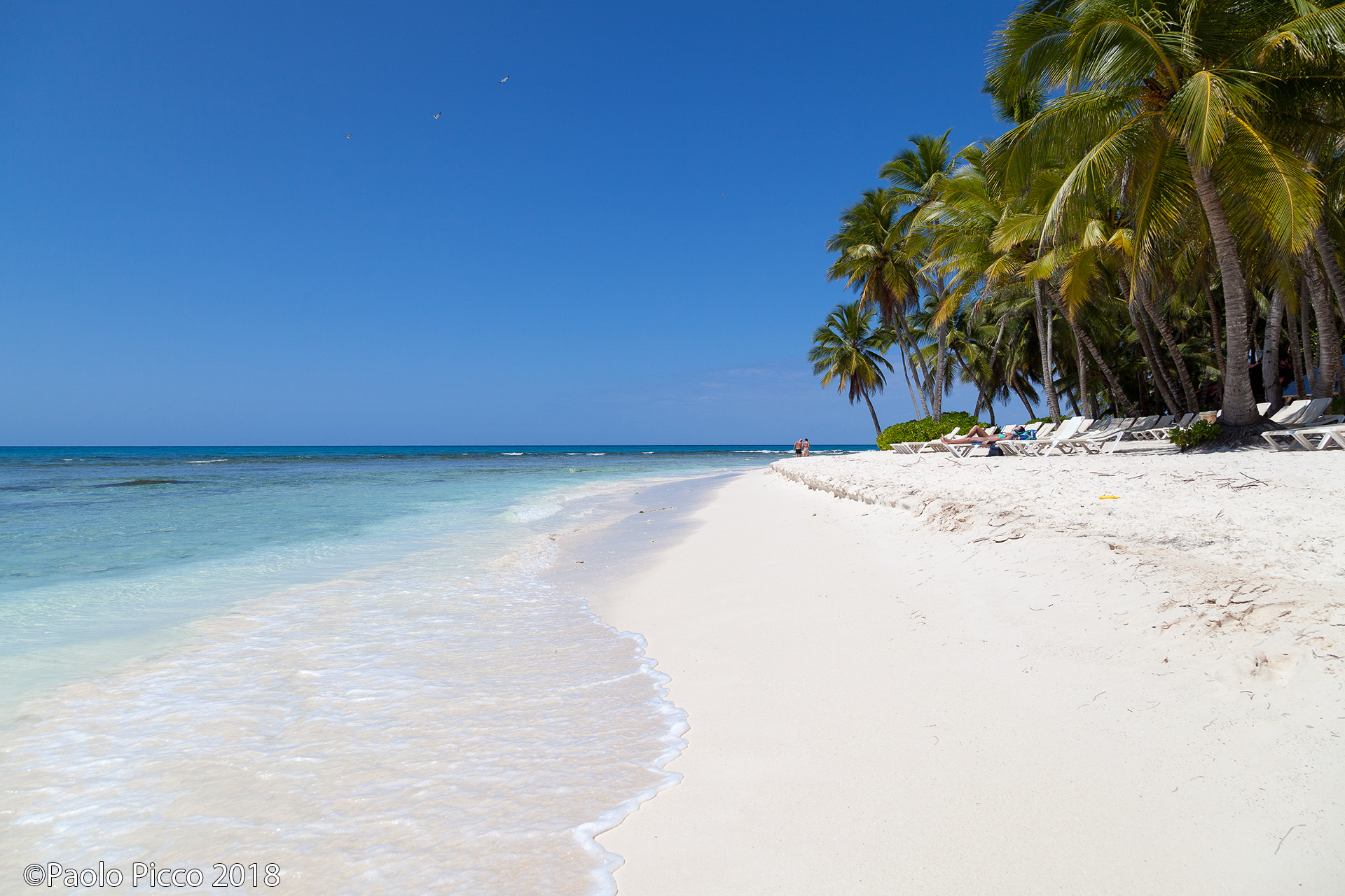Dominican Republic: Island of Saona