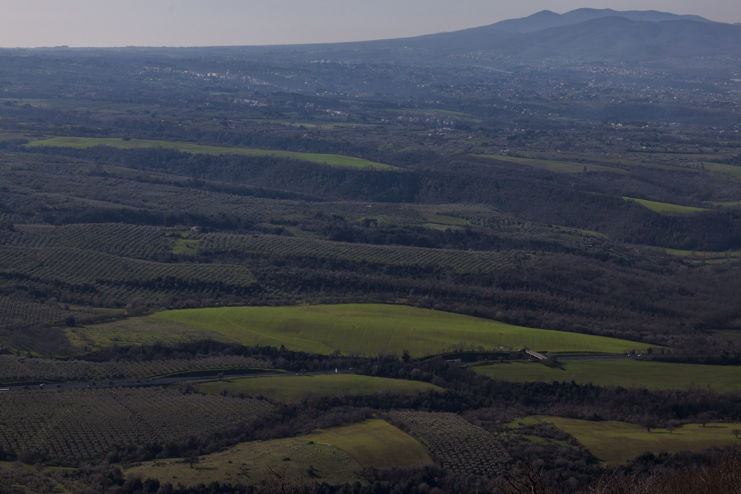View from Monte Catillo 2