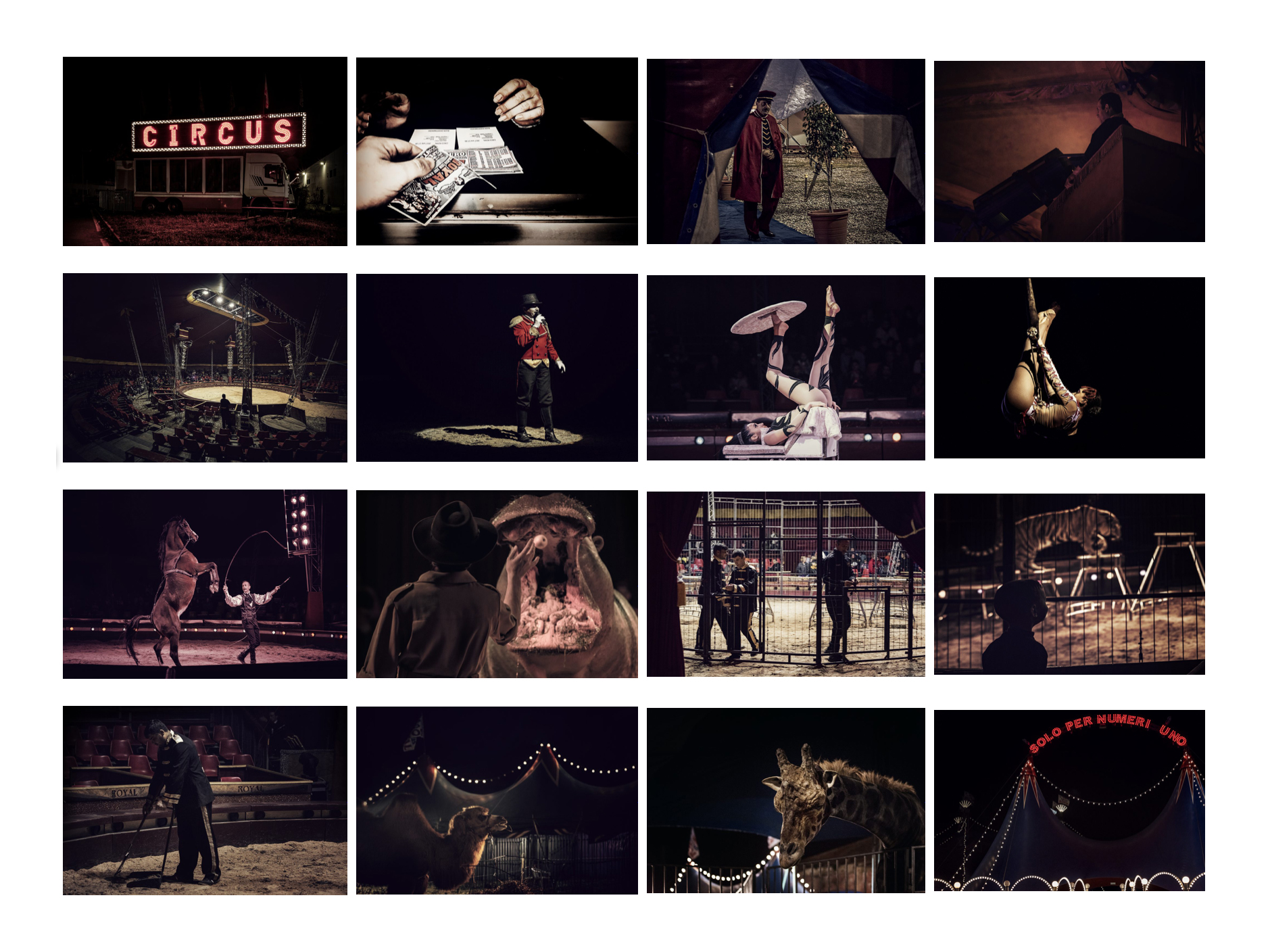 A night at the circus