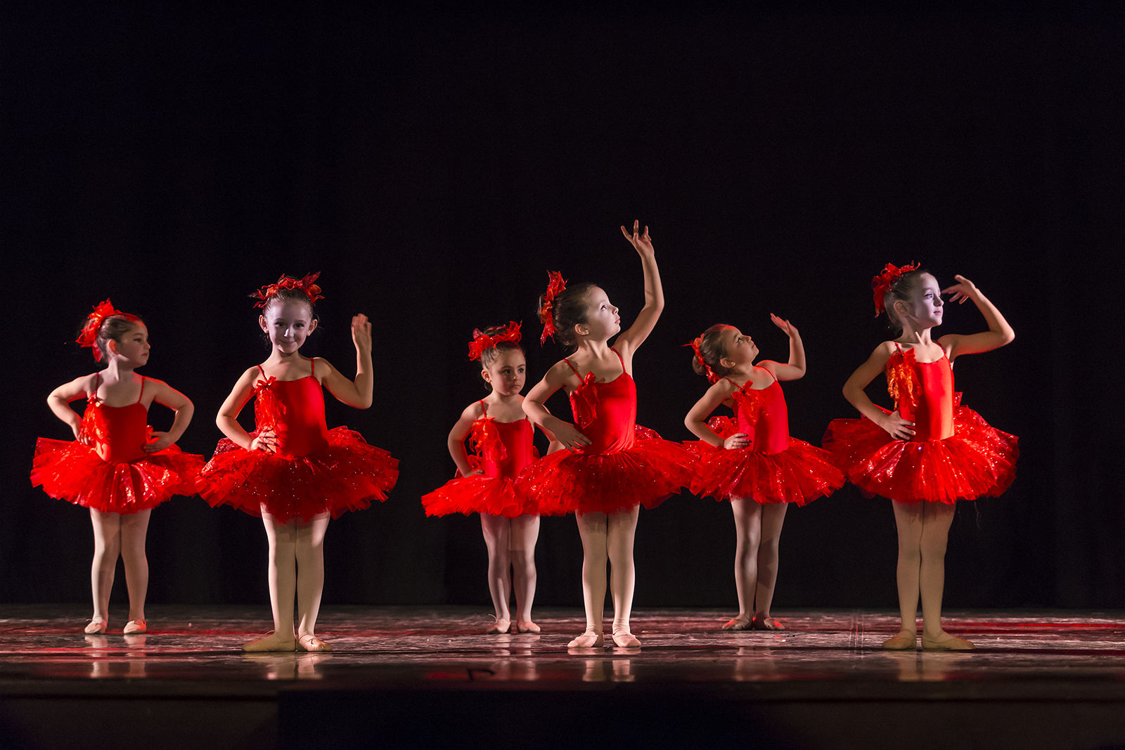 The dance of the debutants .....