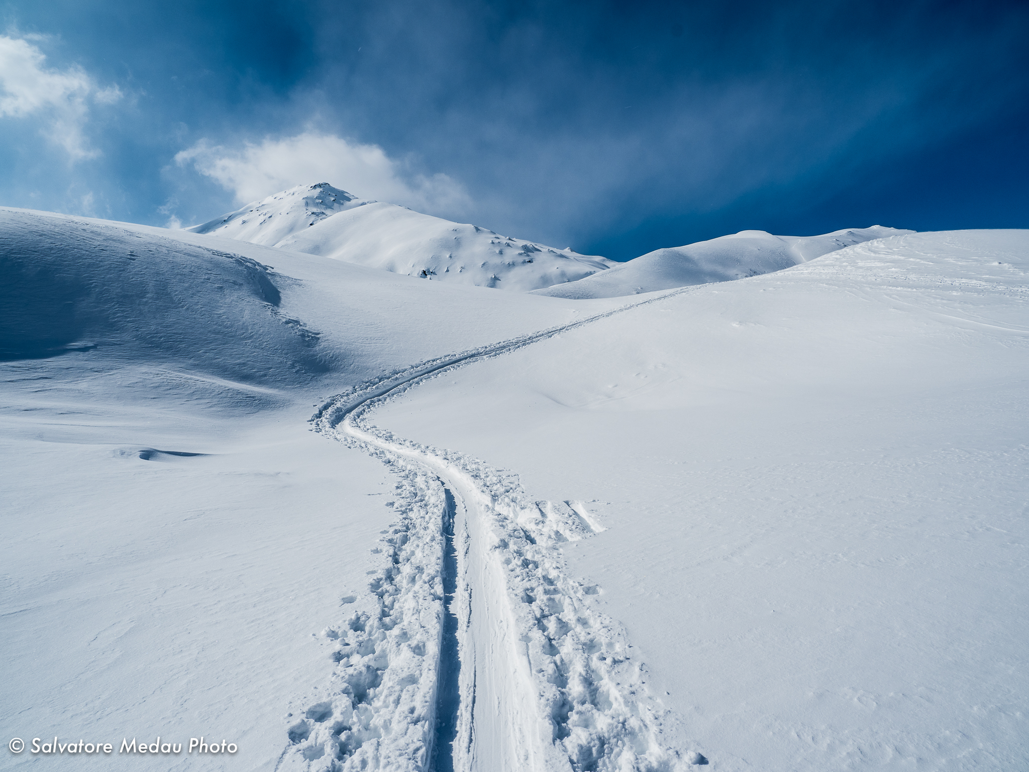 Following the trail to Paradise