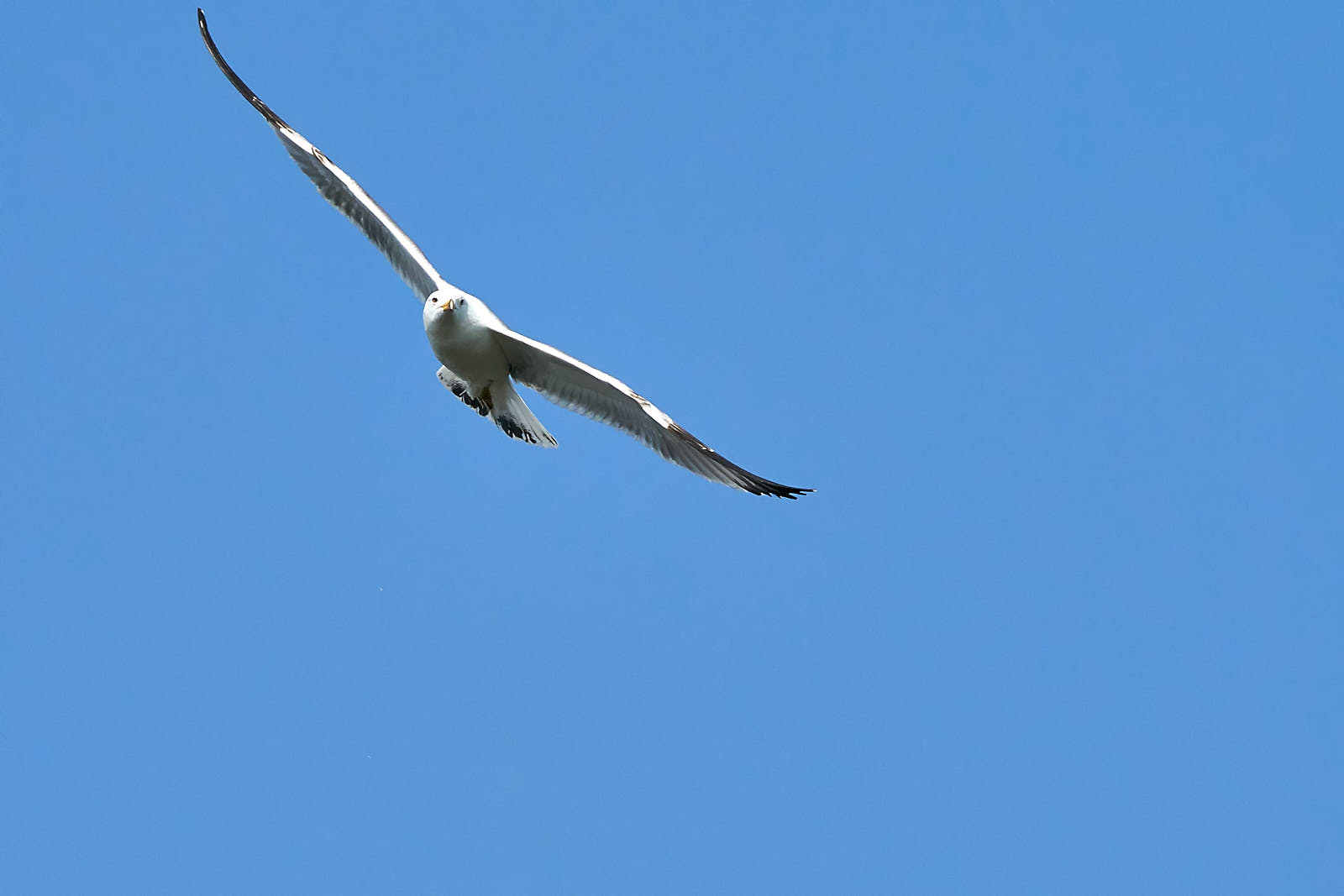 Virata verso la bella stagione