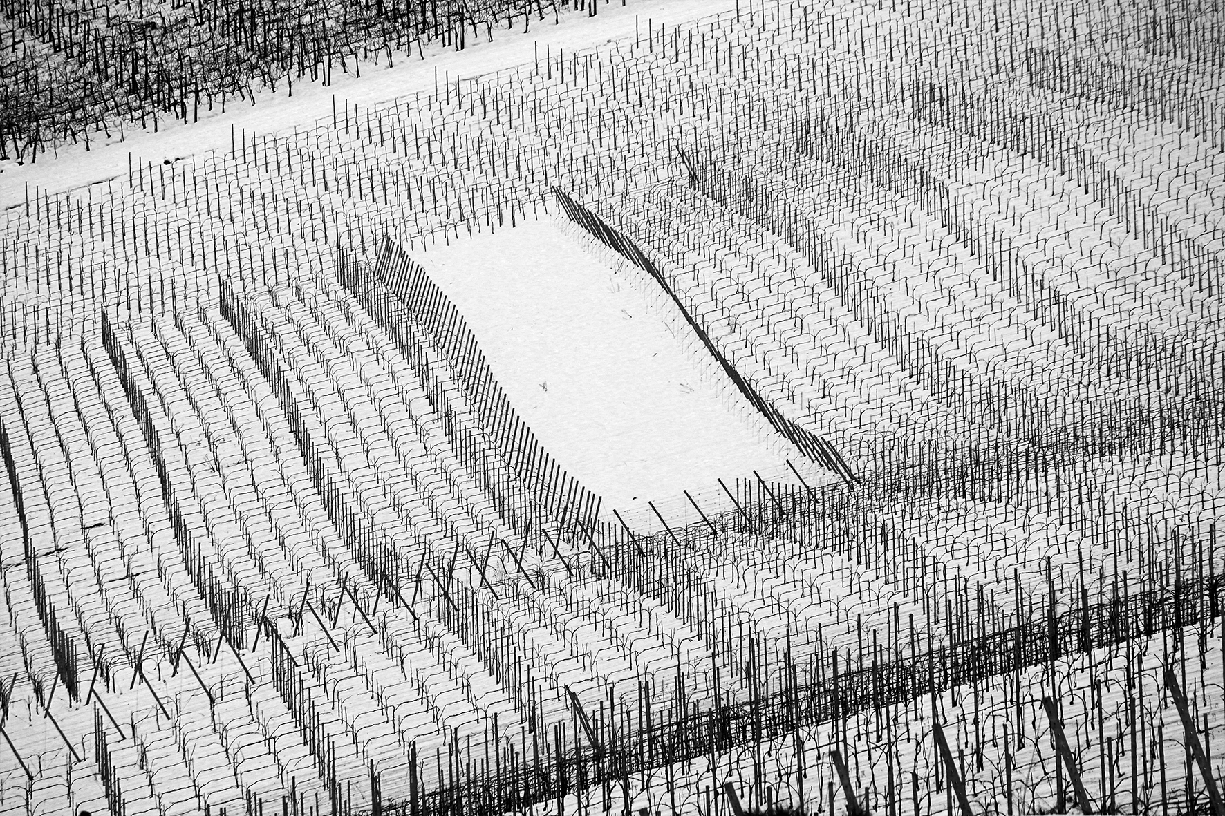 Non entrate li dentro..