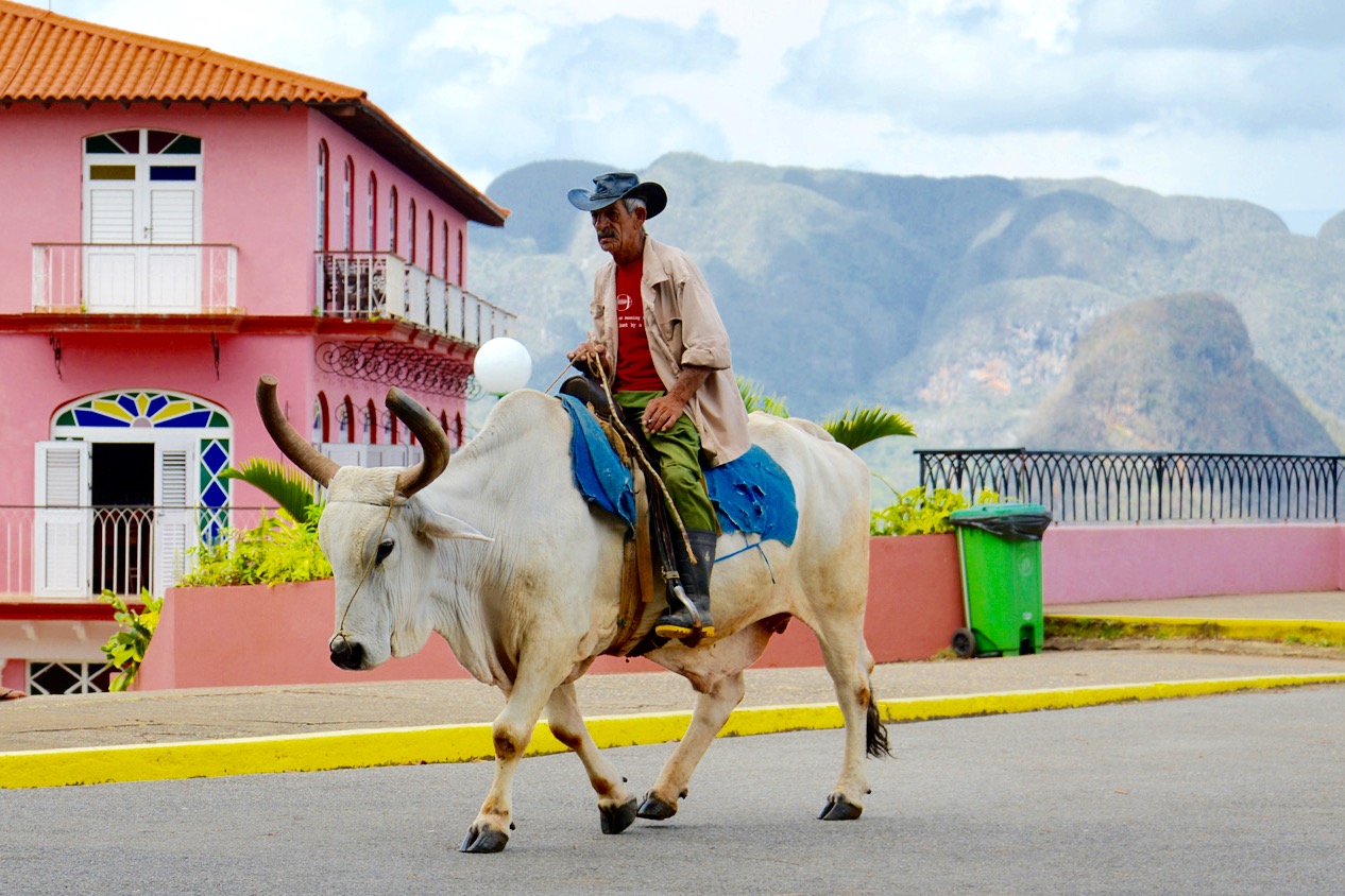 Campesino in Vinales (Cuba)