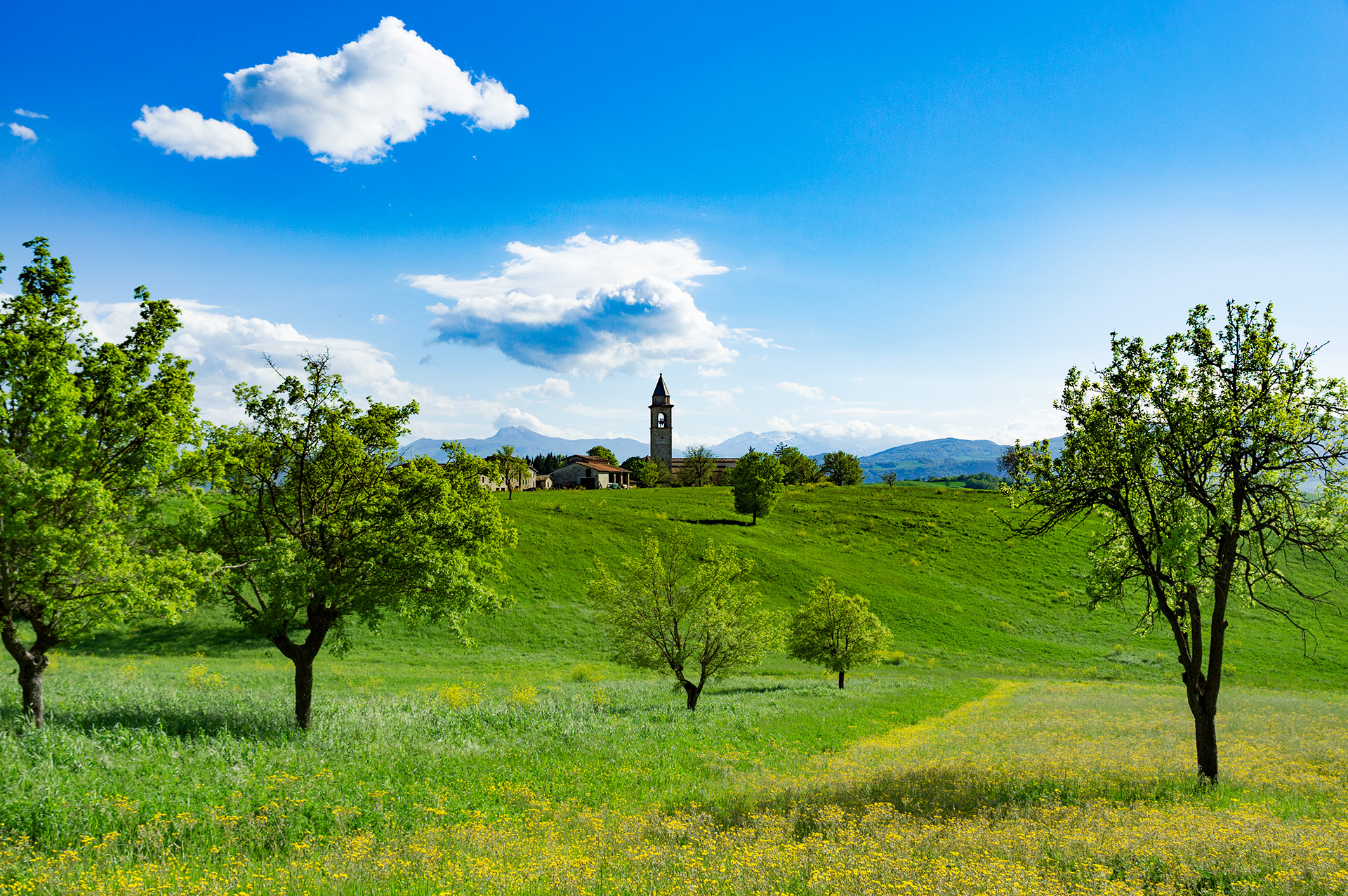 Bardiano Traversetolo