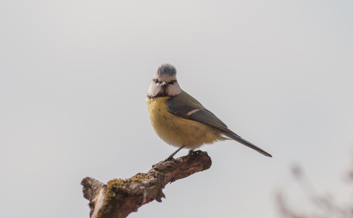 Mi sono sentito osservato,giudicato dal severo sguardo