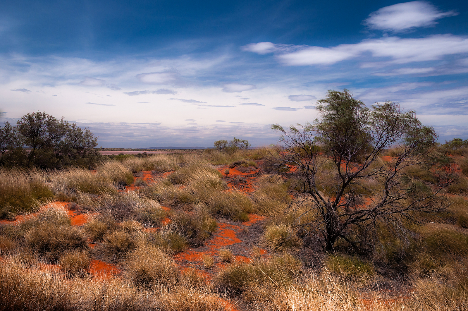 From the Mount Conner Lookout...